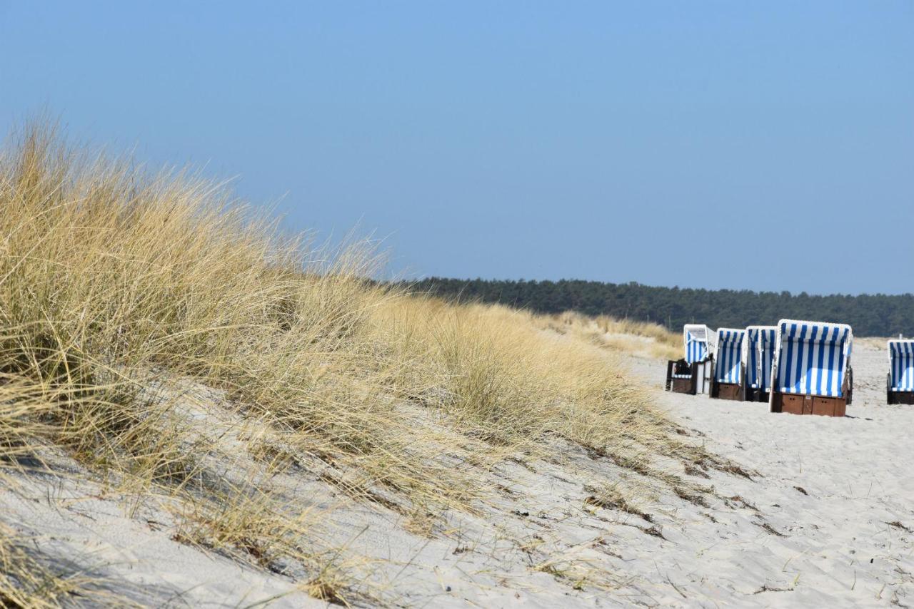 Ferienwohnungen Am Bernsteinweg Prerow Exterior foto